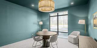 The Canopy Gallery 35