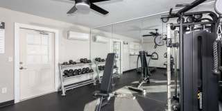 Venice Park Gallery 14