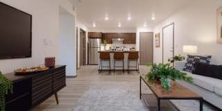 Trailhead at the Preserve Gallery 1