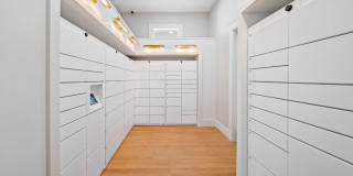 Emblem Renata Gallery 29