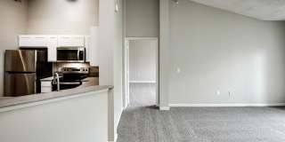 Autumn Grove Gallery 28