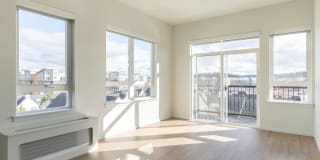 Modera River Trail Gallery 12