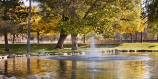 The Grove Gallery 22