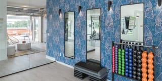 Mysa at The Crossing Gallery 19