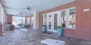 Century Palm Bluff Gallery 12