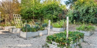 Columns on Wetherington Apartments Gallery 29