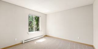 Northline Gallery 13