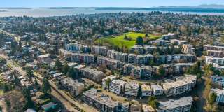 Arrive Magnolia Gallery 74