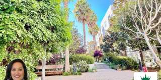 1BR + Den / 1BA with Private Patio + Parking! Gallery 1