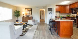 Vista Torre Gallery 25