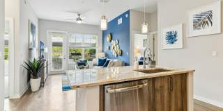 Overture Dr. Phillips Age 55+ Apartment Homes Gallery 9