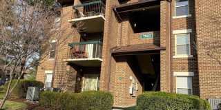 7903 BADENLOCH WAY #203 Gallery 1