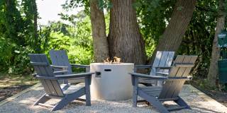 The Willows Gallery 1