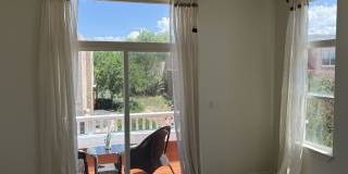 4402 Long Shadow Lane Gallery 8