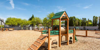 Lumina Apartments Gallery 20