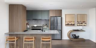 The Ayer The Ayer Gallery 47