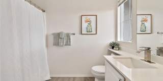 3bd/2.5ba Bellevue Condo Gallery 29