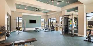 Canopy Park Gallery 10