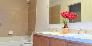 Vero Beach Rentals. Vero Beach Rent, LLC and Property Management Company Vero Beach Rentals. Vero Beach Rent, LLC and Property Management Company Gallery 25