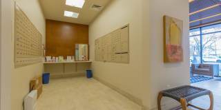 Linden Apartments Gallery 30