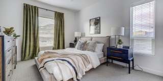 Terra Vista Gallery 15