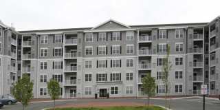 Abbey Lane Gallery 7