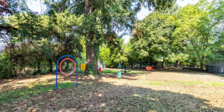 Avana Evergreen Gallery 54