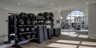 Vineyards Gallery 83