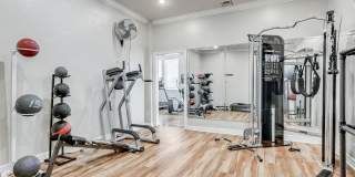 The Erica Gallery 11