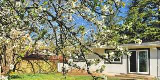 Charming 4BR Home with Huge Yard - W/D and Garage Gallery 16