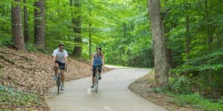 The Keswick Gallery 54