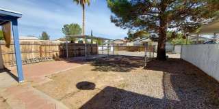 Desert Shadows Gallery 13