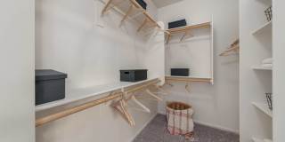 Altair Apartments Gallery 35