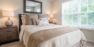 Willow Grove Gallery 12