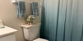 Plum Tree Gallery 18