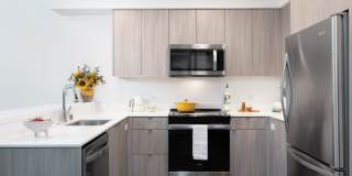 Star Harbor Gallery 3