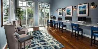 Provence at Valencia Gallery 13