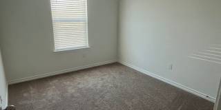NEWER CONSTRUCTION Gallery 12