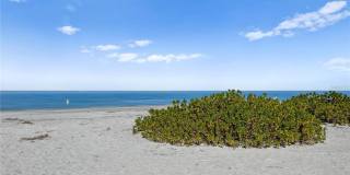 1180 GULF BOULEVARD Gallery 44