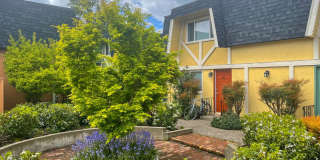 Kellsv Gallery 5