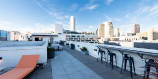 The Wilson Gallery 6