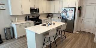 Beautiful NEW build, 4 bedroom 2 bathroom Gallery 1