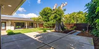 Kahala Zen: Spacious Modern Oasis w/ Studio, Garden & Lush Garden Gallery 57