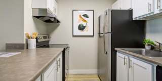 Terra Apartments Gallery 5