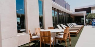 Tanager Tanager Gallery 14