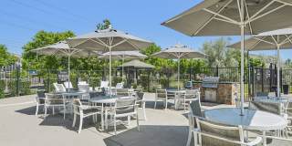 Maison's Landing Gallery 7