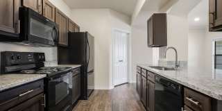 Austin City Lights Gallery 14