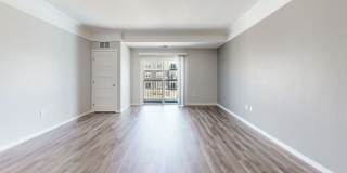 Edison at Woodbury Gallery 29