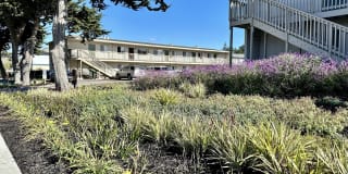 Marina Crescent Gallery 7