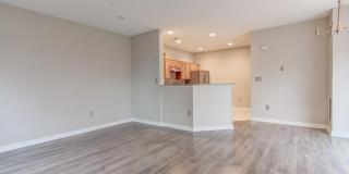 7700 DUNEIDEN Lane Gallery 13